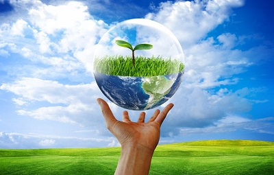 Our Environment Image